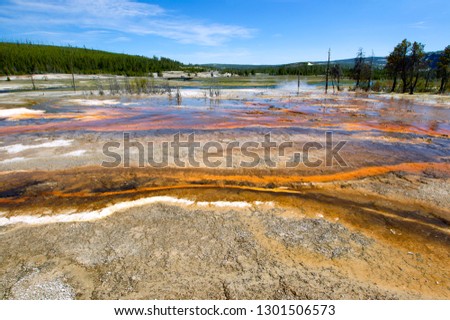Landscape of Yellowstone National Park , Idaho, Montana and Wyoming, USA.