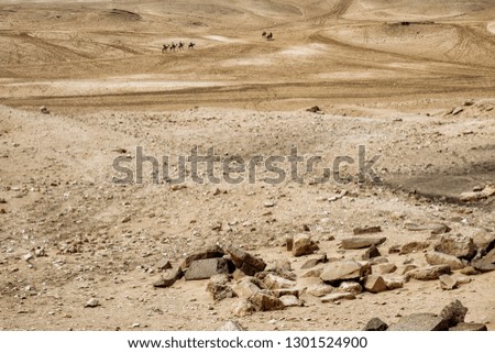 Cairo, Egypt 2018 - Tourists and guides riding camels on Giza plateau in the rocky desert