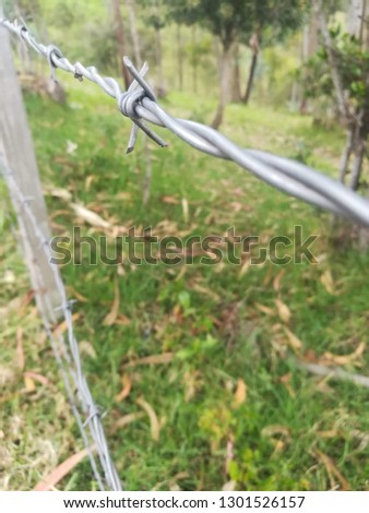 This photo shows a good view of this barbed wire, excellent photo