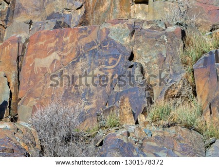 Picture of buffalos, antelopes, dogs, wolves & people with bows on rocks at Tamgaly National Petroglyph Park (Kazakhstan). Bronze age. 