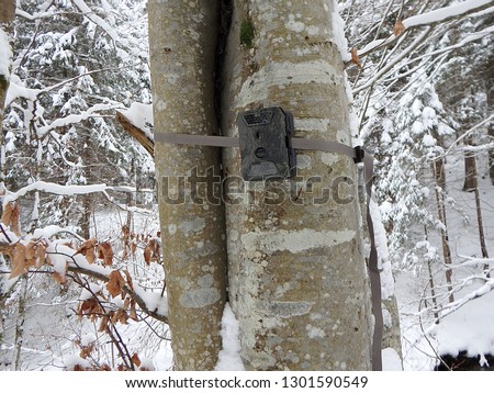 Photo traps in forests, Camera trap with infrared light and motion detector attached with straps on a tree