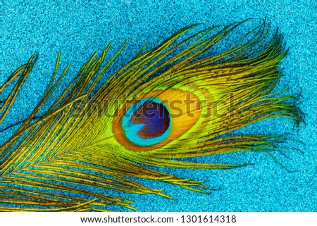 Carnival shiny background with colorful peacock feathers on blue sparkling glitter paper, copy space, text place