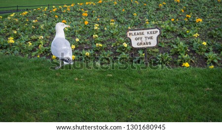 please keep off the grass