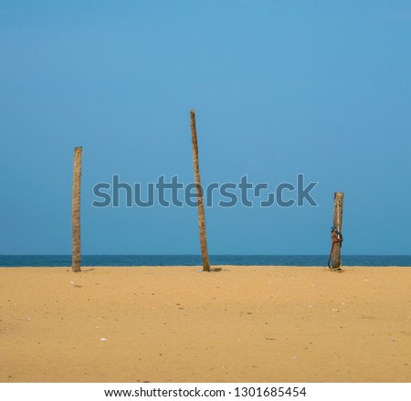 Dead coconut trees stumped on a beach. Beautiful sunny day at a beach. Various dead coconut trees placed on sand at a beach. - Image