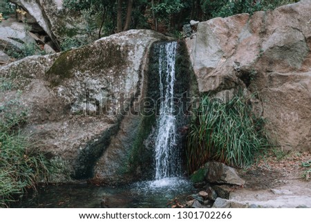 A small waterfall immersed in the spring green trees. Clear spring day.