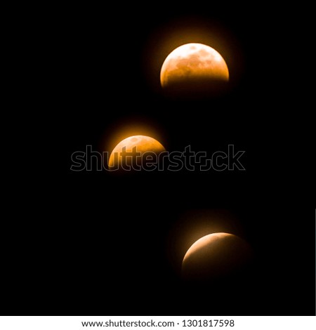 The full Lunar Eclipse in January 2019 was beautiful as the moon slowly turned a dark reddish orange and shined in the dark desert sky of Arizona. Seeing the moon change was a beautiful sight