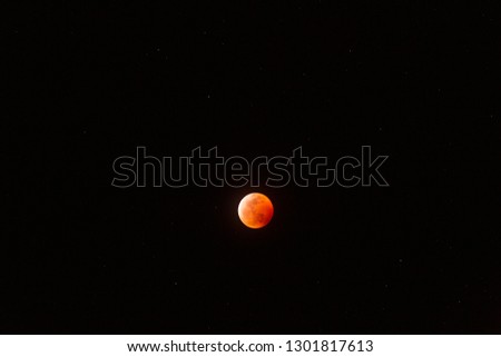 The full Lunar Eclipse in January 2019 was beautiful as the moon slowly turned a dark reddish orange and shined in the dark desert sky of Arizona. Seeing the moon change was a beautiful sight