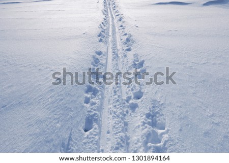 Skier tracks in the snow