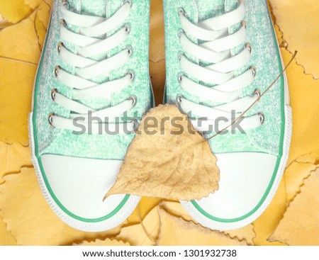 Green hipster sneakers on the fallen leaves. Autumn time. Top view.

