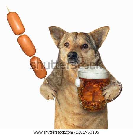 The mongrel dog is holding a mug of beer and a sausage skewer. Isolated. White background.