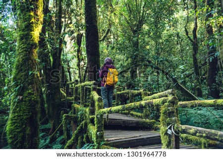 Asian woman travel to study nature in the rainforest. Is taking pictures on the bridge with many beautiful green mosses at the angka, Chiangmai in Thailand.