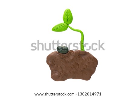 Seeds and young plants from Plasticine isolated on white background with clipping path, Ecology concept,