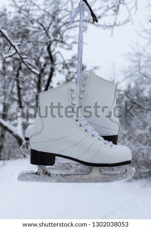 White women's skates hang on a tree, winter time, outdoor activities