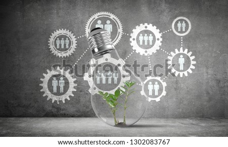 Lightbulb with green plant inside placed against sketched social gear structure on grey wall. 3D rendering.