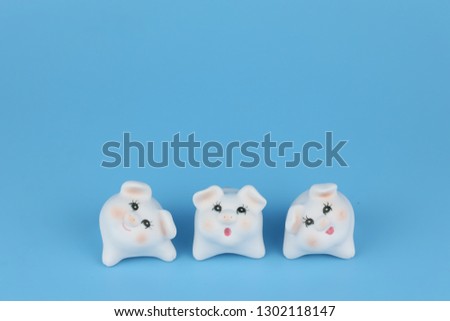 2019 Chinese Zodiac Sign Year of Pig, white cute pigs on blue background
