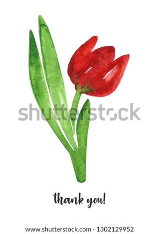 Tulips. illustration flowers. Spring blossoms watercolor painting on white background. Mother Day, wedding, birthday, Easter, Valentine Day. Background for postcards, posters, clothing, web. Pattern.