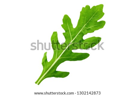 One leaf of arugula on a white background isolated. clipping path Royalty-Free Stock Photo #1302142873