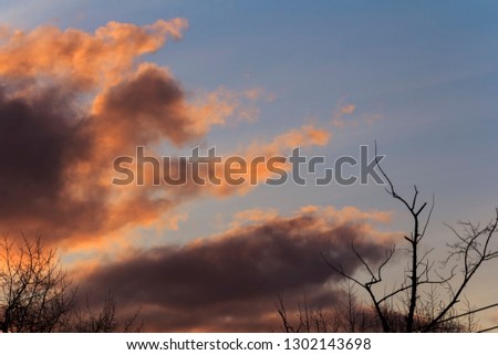 Beautiful sunrise sky with colorful clouds and tree silhouettes