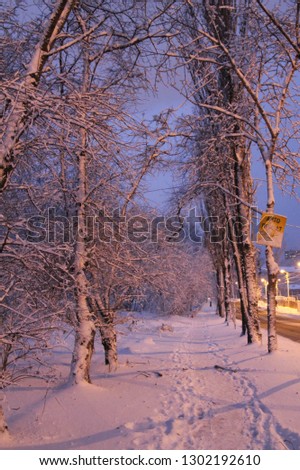 Cold snowy evening in Russia (Russian winter season)