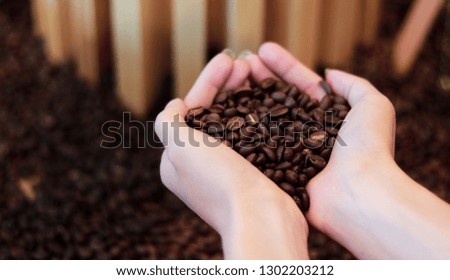 Coffee beans in the hands