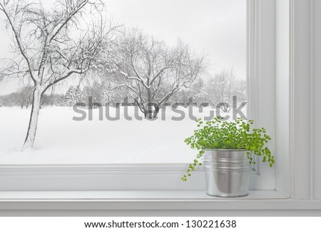 Winter landscape seen through the window, and green plant on a windowsill. Royalty-Free Stock Photo #130221638