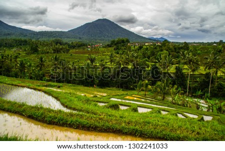 UNESCO World Herritage. Travel/Explore Bali, Indonesia concept. Breathtaking landscape view of Jatiluwih rice fields/terraces. Tourist the most popular attraction/destination.