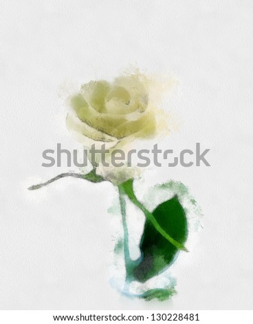 beautiful white rose, watercolor