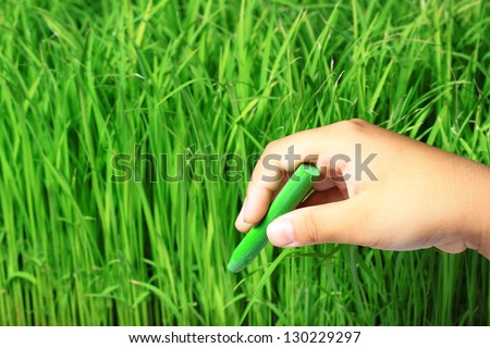 Hand writing rice field