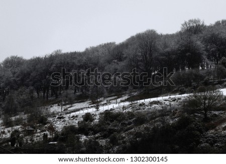 snow scene with ice on frozen dark forest tree tops and hillside fields