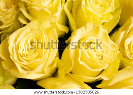 Yellow roses flower bouquet