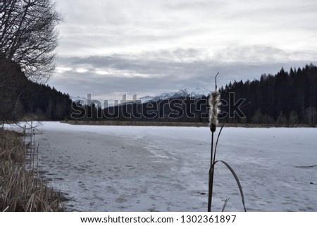 Iced lake in Pian Gembro. View of the lake in Pian Gembro iced in winter, with Adamello mountain range in background.