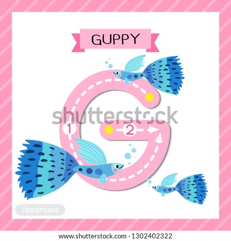 Letter G uppercase cute children colorful zoo and animals ABC alphabet tracing flashcard of Blue Guppy fish for kids learning English vocabulary and handwriting vector illustration.
