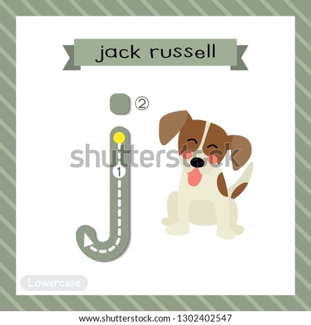 Letter J lowercase cute children colorful zoo and animals ABC alphabet tracing flashcard of Sitting Jack Russell for kids learning English vocabulary and handwriting vector illustration.
