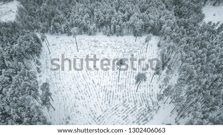 Beautiful winter scenery with aerial look over the tree tops of pine forest. Moody landscape of frozen trees on a cold winter's day. Creative shapes of forest in snowy weather. 