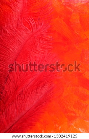 Red feathers on a red background          