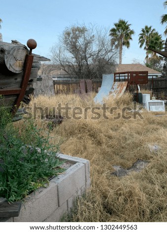 Backyard with overgrown weeds, half-pipe for skating, stacked logs, and palm trees