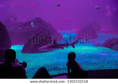 Dark silhouettes of man and boy watching sharks and small fish in aquarium; man is taking photos; proton purple background