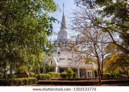 White je-di in public temple and tree