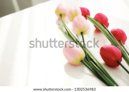 Vintage tulip tones for the background, placed on a white table
