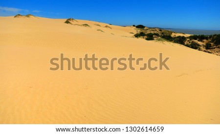 Coorong National Park in South Australia