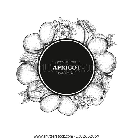 Vector frame with apricots and flowers. Hand drawn. Vintage style