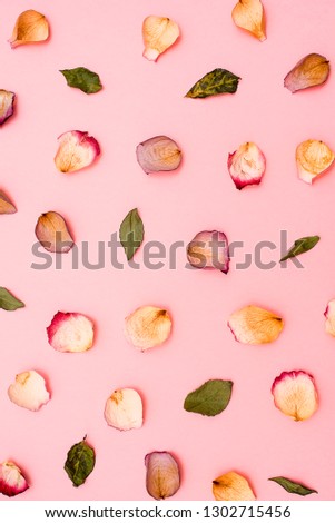 Rose petals and green leaves on pink background. Flat lay
