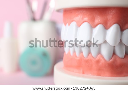 Educational model of oral cavity with teeth on blurred background, closeup. Space for text
