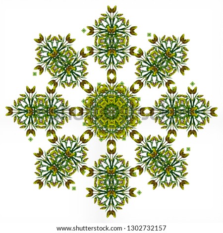 Fine art floral decorative and symmetrical fractal color pattern made from macros of yellow dark green red tulips on white background in vintage painting style