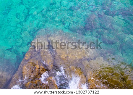 Sea summer blue coral reef 