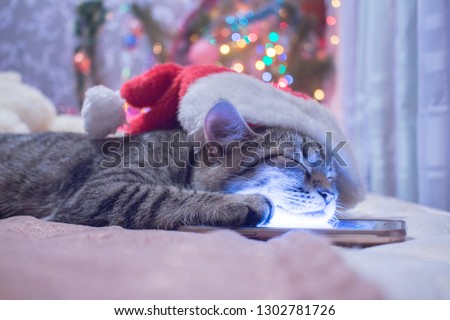 A picture of a pastel color, a tired striped in a red Santa Claus hat, the cat sleeps in a warm bed, the smartphone is under his muzzle and he sees his beautiful dream, the Christmas tree behind him