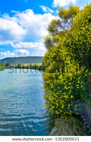 Landscape of a river with flowers and mills in the background, blue, yellow, green