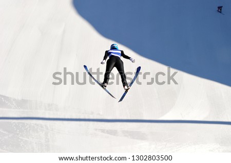 The Ski Jumping