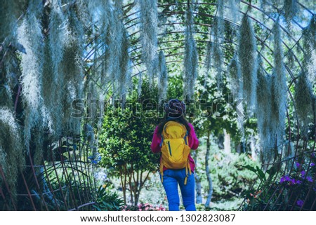 Women travel photograph Nature flower in the public park. take pictures spanish moss tree arch suitable as background.