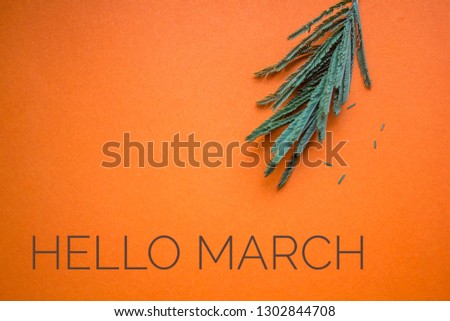 banner Hello March.Greeting card. The beginning of the new season.
